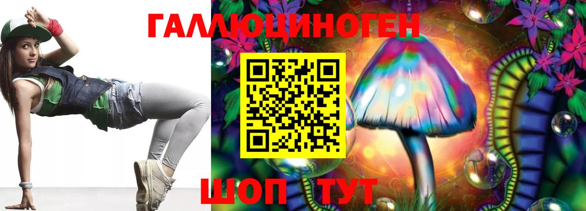 Псилоцибиновые грибы Psilocybine cubensis Черногорск